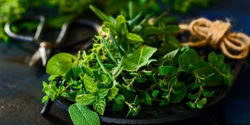 Never Waste Fresh Herbs Again With This Test Kitchen Trick