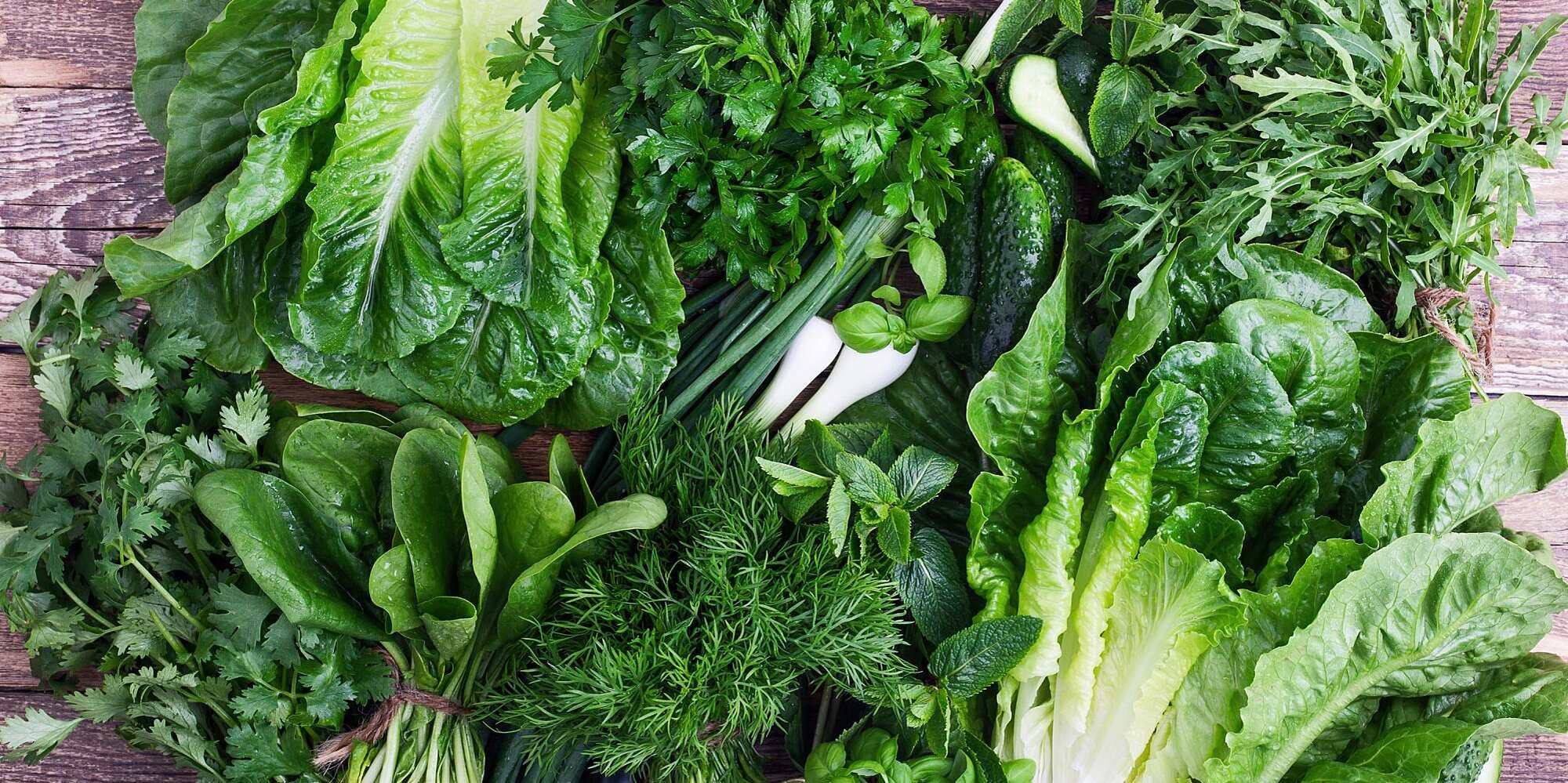 10 Salad Greens Better Than Iceberg Lettuce