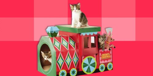 Target Is Selling the Most Purr-fect Christmas Cat Houses