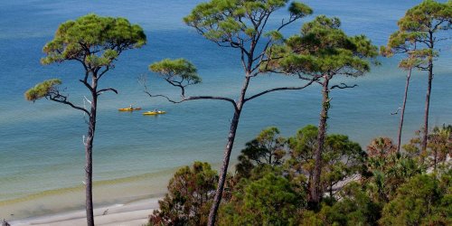 Cape San Blas Is the Best-Kept Secret on Florida's Forgotten Coast