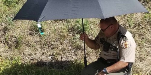 Trooper Saves Dog From Extreme Heat on Side of Highway, Then Adopts Her