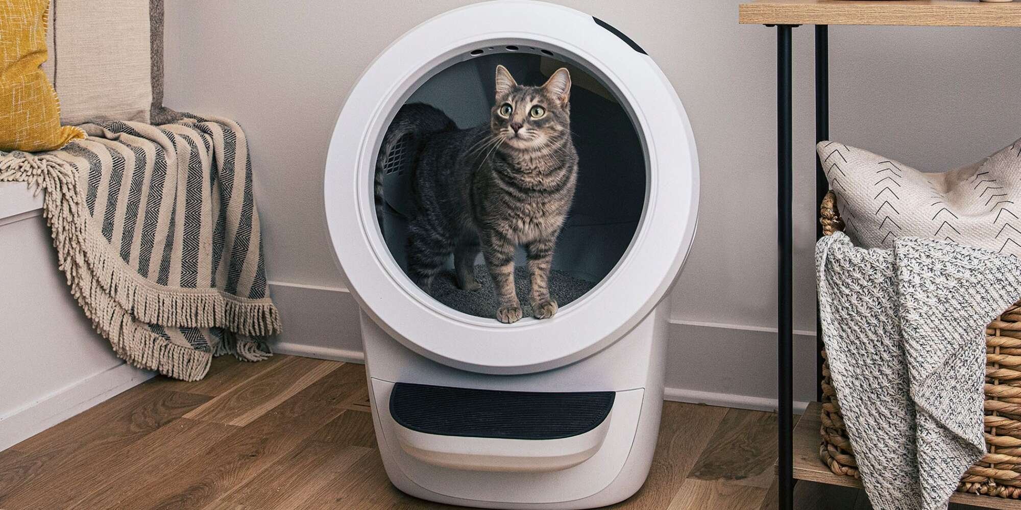 These 10 Futuristic Products Are Perfect for Tech-Savvy Pet Parents - cover