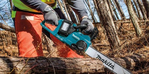 The 8 Best Electric Chainsaws for Trimming Limbs and Pruning Landscaping