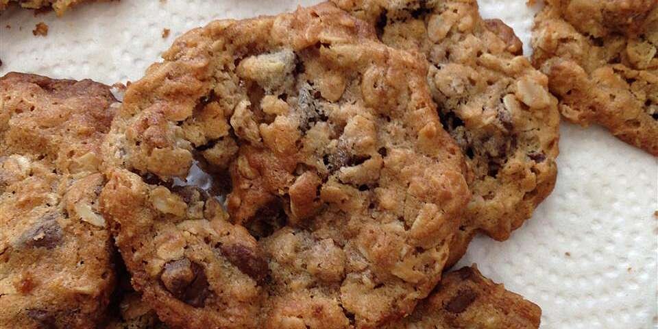 15 Oatmeal Chocolate Chip Cookie Recipes