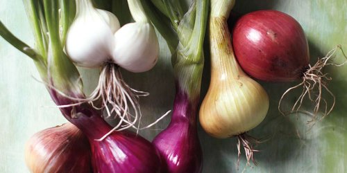 A Visual Guide to Alliums: Think Beyond Standard Onions and Garlic and Add These Varieties to Your Cooking