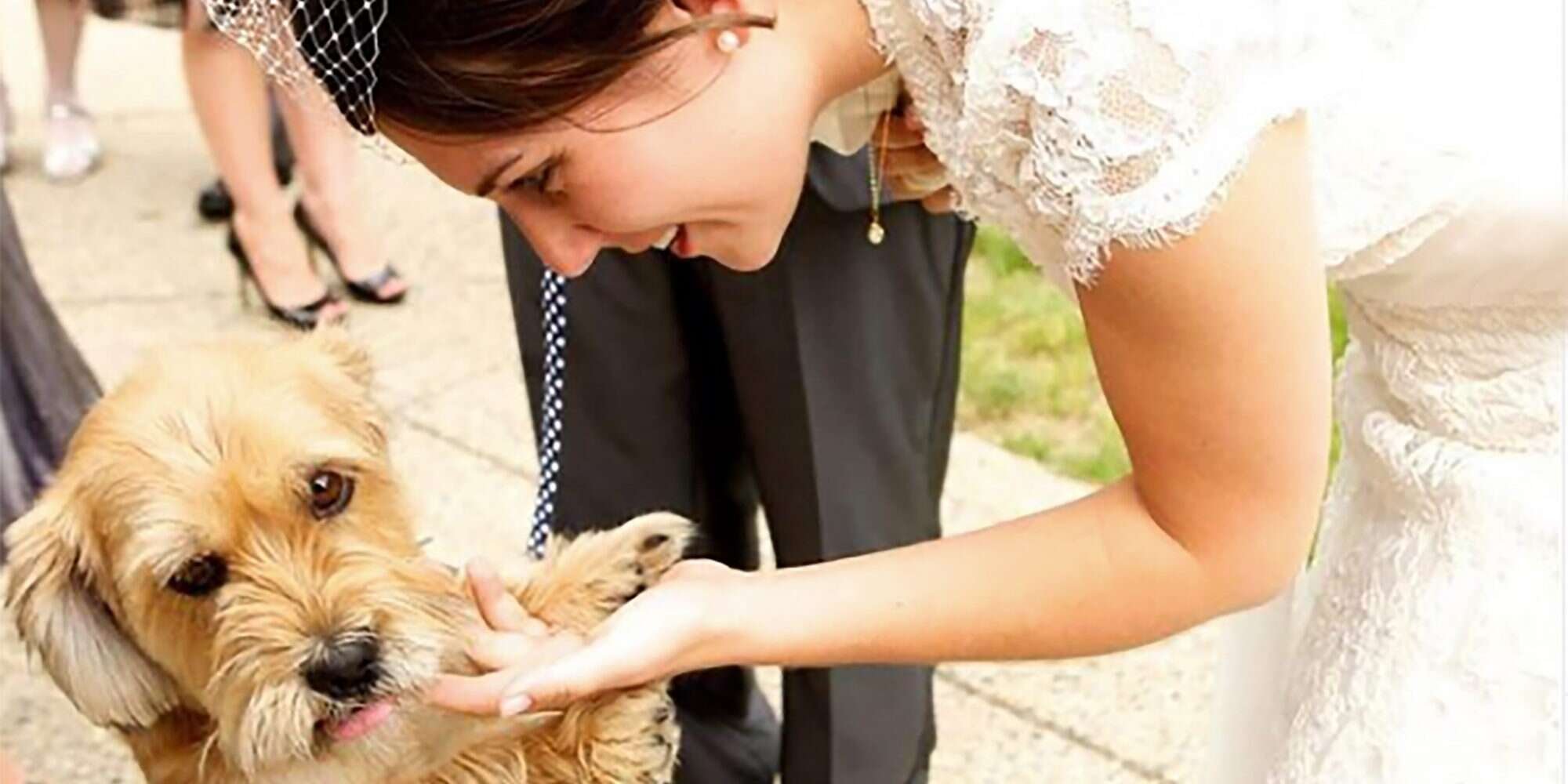 Awww! Take a Peek at 15 of the Most Adorable Pets in Weddings on Instagram