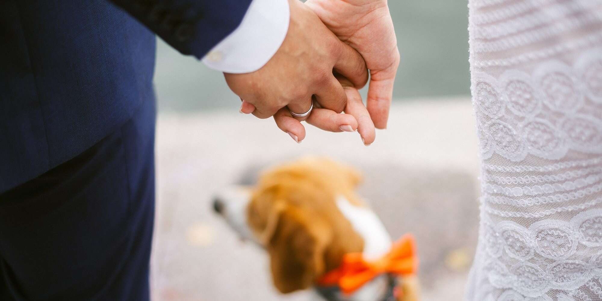 7 Things to Consider Before Adding Your Pet to Your Wedding Party