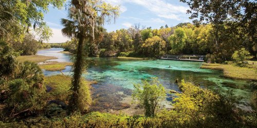 The Best State Parks in Florida for a Sunny, Any-Season Escape