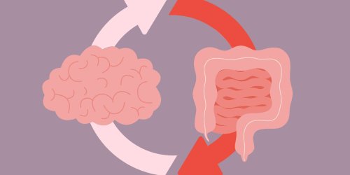 How Poor Gut Health Can Increase Anxiety and Depression Risk & What to Eat to Help