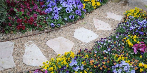 How to Create a Gravel Garden, an Eco-Friendly Landscaping System That Requires Minimal Water