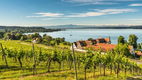 Die 7 schönsten Weinfeste in Baden-Württemberg 2024