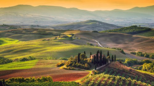 Weinberge der Toskana: Auf den Spuren des perfekten Chianti