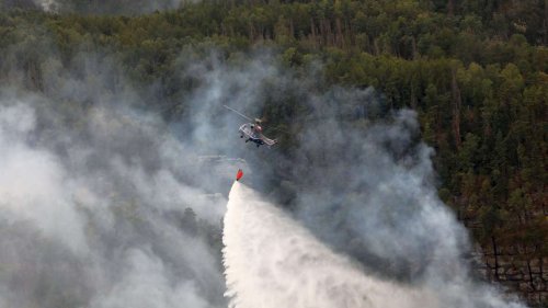 Waldbrand in Sächsischer Schweiz: Hunderte Einsatzkräfte vor Ort – kritische Wetterprognose