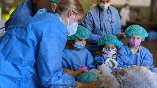 400 kranke Kuscheltiere verarztet: Münchner „Teddybärkrankenhaus“ soll Kindern Angst nehmen