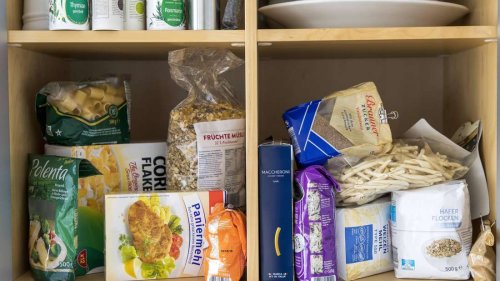 Kleines Insekt kann fiese Symptome auslösen: Speckkäfer können sich in Küche und Kleidung verstecken