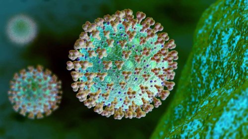 Droht die nächste Pandemie? - Forscher entdecken unbekannte Viren