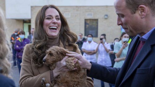 Kate und William beim Fremdkuscheln mit Therapiehund erwischt