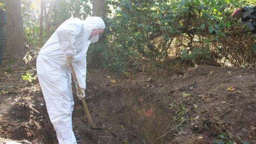Mord an Kazim T.: Polizei findet zerstückelte Leiche in Waldstück