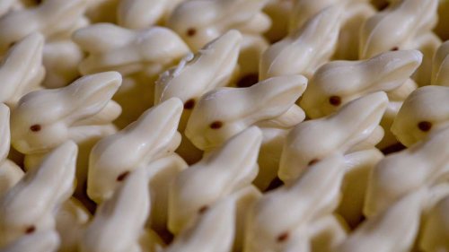 Schoko-Manufaktur Fesey: Wo süße Träume wahr werden