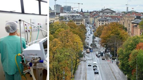 Infizierte sterben, oder tragen „schwerste Folgeschäden“ davon: Wie hoch ist die Borna-Gefahr für Münchner?