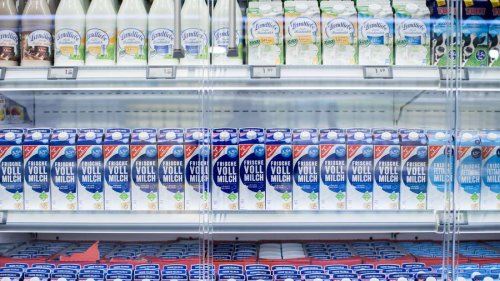 Großer Milch-Rückruf in Deutschland: Mehrere beliebte Marken betroffen – Infektion möglich
