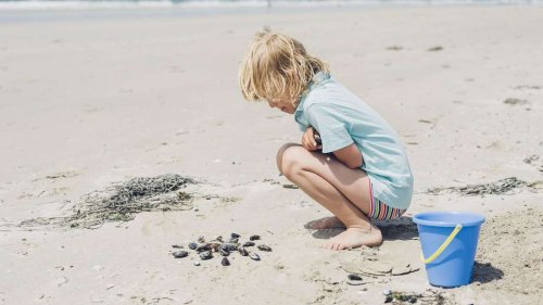 Hohe Bußgelder und Haftstrafen: Das sollten Reisende beim Strandurlaub nicht mitnehmen