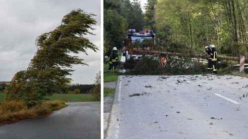 Unwetter-Warnungen für Bayern: Bäume stürzen auf Häuser und Gleise - Sturm trifft auch München