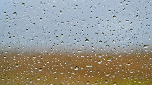 Ungemütliches Wetter am Wochenende in Sachsen