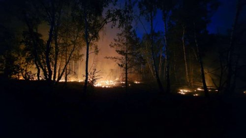 Löscharbeiten gegen Waldbrand bei Jüterbog fortgesetzt
