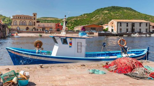 Gefährliches Mücken-Virus breitet sich auf Sardinien und an der Adria aus – schon ein Todesopfer