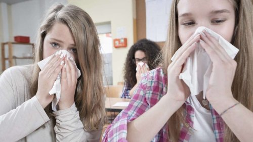 Extreme Krankheitswelle an Bayerns Schulen: „Erinnere mich nicht, dass ich so etwas schon mal erlebt habe“