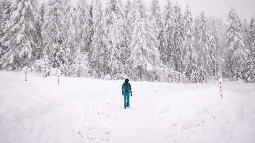 Wetter in Deutschland: Experte mit erster Winter-Prognose – Modell zeigt „zwei weiße Kleckse im Norden“