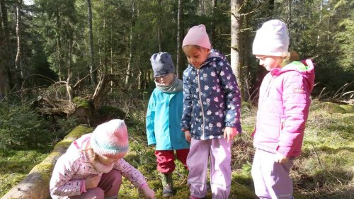 „Immer mehr Kinder, die noch nie im Wald waren“ – Naturworkshop bietet Auszeit vom stressigen Alltag