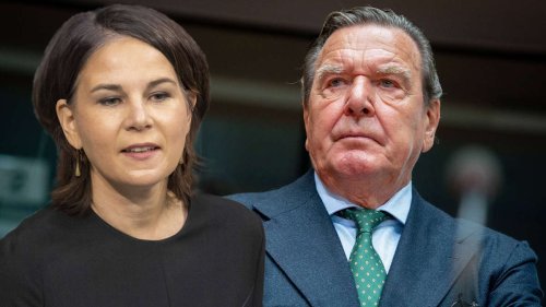 Baerbocks Grüne und Union entrüstet über Schröders Ukraine-Aussagen - Scholz soll eingreifen