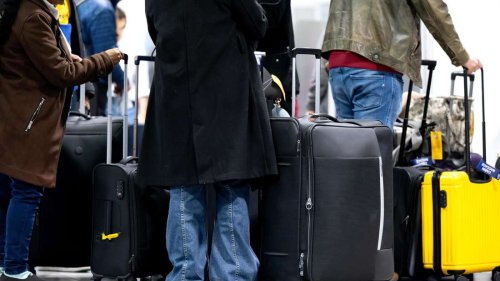 Kurioser Fund am Flughafen München: Zoll entdeckt Tier-Gebiss in Koffer – und beschlagnahmt das „Souvenir“