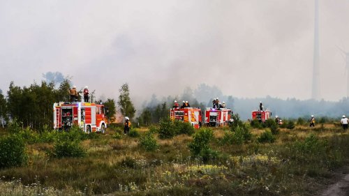 Waldbrand in Brandenburg breitet sich aus: Explosionsgefahr durch Munition – rollen jetzt Panzer an?