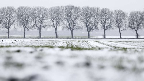 Rätselhafte „Frostbeben“ in Europa und Nordamerika könnten durch Klimawandel häufiger werden