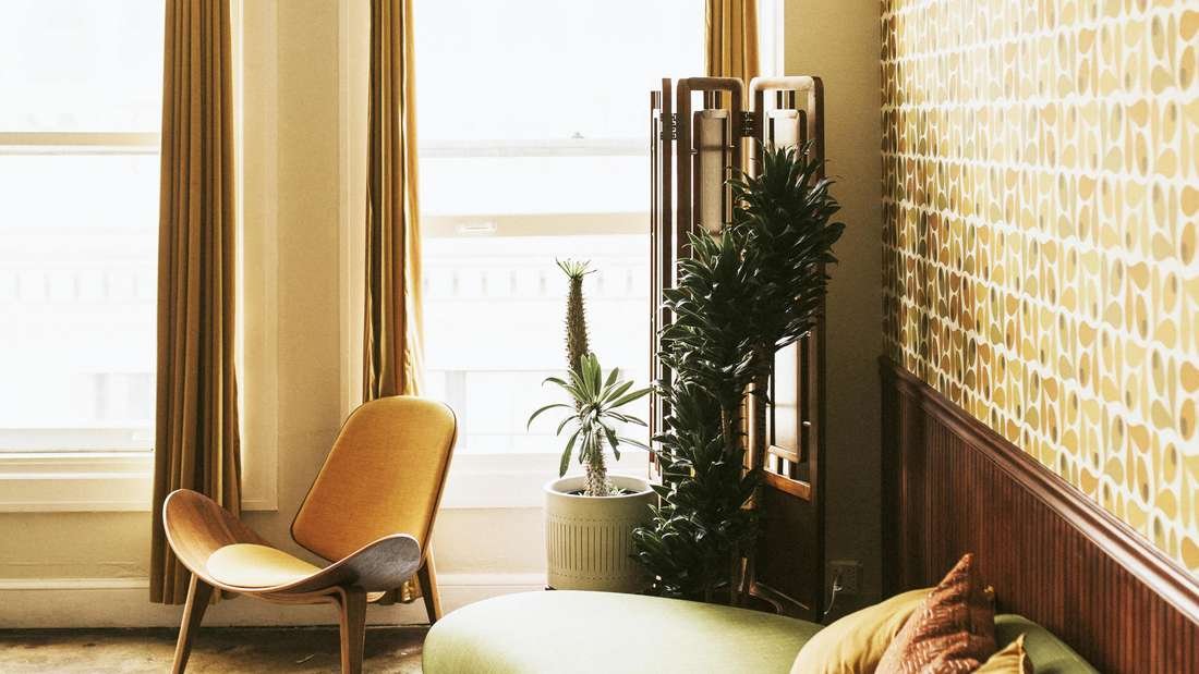 Retro-Pflanzen: Zimmerpflanzen und Garten im Stil der 60er-Jahre