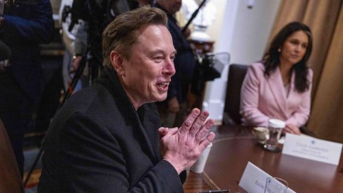 Musk verlässt DOGE – Verdienste für Trump-Regierung zweifelhaft