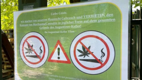 Rote Linie bei Cannabis: Veranstalter wollen Konsum verbieten – „Haben keinen Bock darauf“