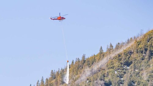 Ungewöhnlich trockener Winter: Experten warnen vor Auswirkungen