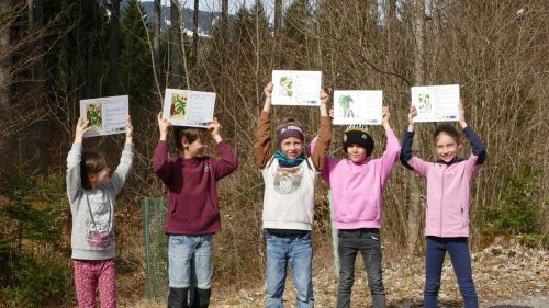 Naturparkschule Fischen-Ofterschwang präsentiert „Arboretum“