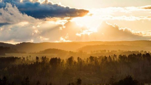Die gefragtesten Urlaubsziele 2024 in Baden-Württemberg