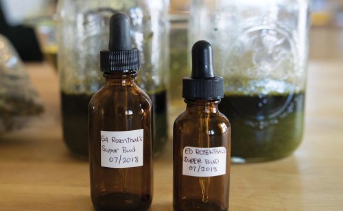 Here's An Easy DIY Recipe for Brewing Strong Cannabis Tinctures