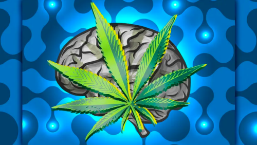 Scientists Think the Synthetic Cannabinoids in Sativex Can Beat Brain Cancer