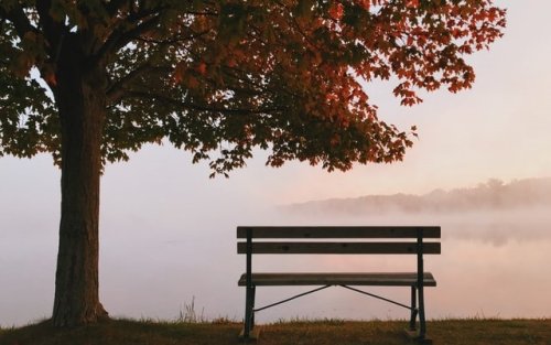 Tendance saisonnière pour l'automne 2021 | Météo-Contact