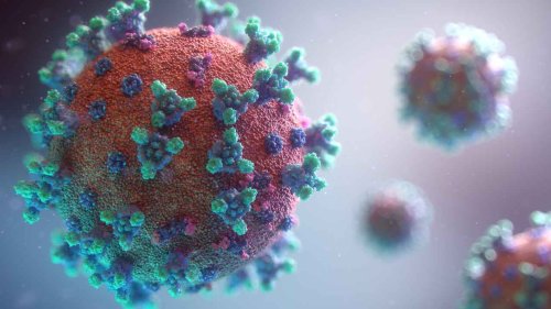 Migliore (Fiaso): «Pandemia in fase arretramento, virus circola ma non provoca malattia»