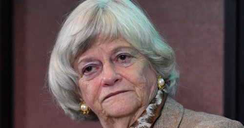 Ann Widdecombe murder suspect’s relative ‘questioned if Farage would be attacked’