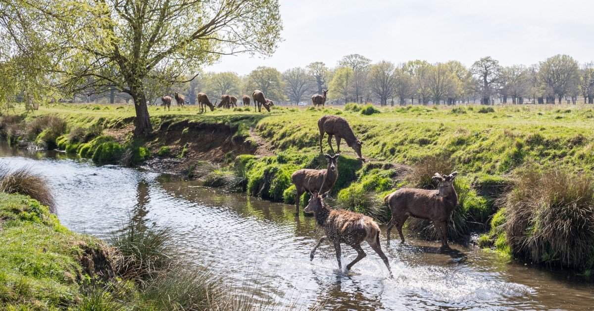 Why stop at 30 minutes? The best mega walks in London