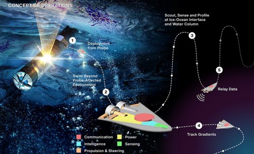 Nasa is building a swarm of swimming robots to look for life in space